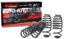 RESSORTS TYPE SPORTIF EIBACH PRO-KIT E10-20-020-02-22 BMW X1 (E84) photo 1 - milautoparts-fr.ukrlive.com