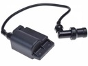 МОДУЛЬ COIL-CDI PIAGGIO ZIP FLY VESPA LX ET 50 4T