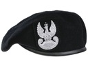 БЕРЕТ WP с польским тиснением и BLACK EAGLE, размер 54