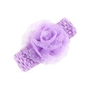 Вайолет цветочная полоса 26 см-52 см