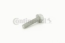 TUNING GEAR FROM PUMP CONTINENTAL AUDI 2,0TDI CT1134WP1 photo 8 - milautoparts-fr.ukrlive.com