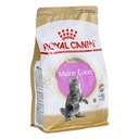 ROYAL CANIN Kitten Maine Coon 400g