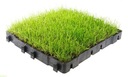 Решетка для парковки Eco Grass 4 см G40