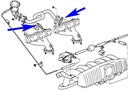 BOUCHON DE POMPE D'AIR SECONDAIRE BMW E36 E46 M43 photo 3 - milautoparts-fr.ukrlive.com