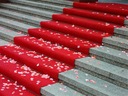 Š. 100 cm ČERVENÝ KOBERCOVÝ CHODNÍK DYNASTY NA SVADBU DO KOSTOLA SVADBA Kód výrobcu dynasty 15 czerwony