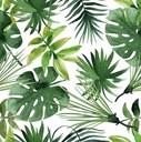 Бумажные салфетки MONSTERA Plants 33х33см, 3 слоя, 20 шт.