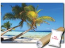 ФОТОобои ПЛЯЖ PALM 3A FXL 208x146 F8-005