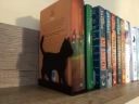 Книжный отдых cat 2 solid metal black