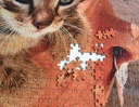 Foto puzzle 20 dielikov v sáčku, 20x30 Značka iné