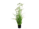 SWAN GRASS 120 CM-II искусственные цветы GARDEN фейка