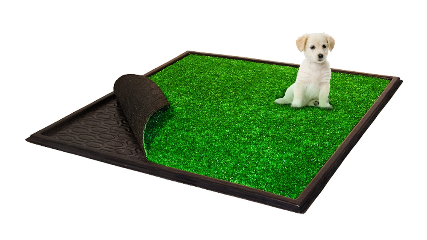 KUWETA DLA PSA SZCZENIĄT PSÓW KOTA MATA NA KOJEC - Arena.pl