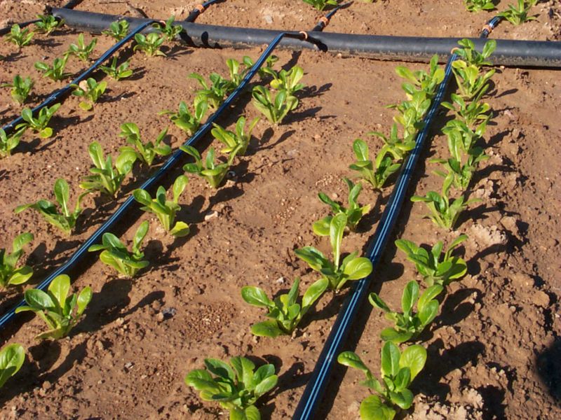 RB, КРАН ШАРОВЫЙ 16-16 труб линии kroplujacej купить в украине недорого ...