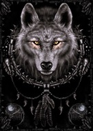 Spiral Wolf Dreams Vlk - plagát 61x91,5 cm