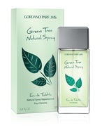 Perfumy Gordano Parfums Green Tree 100ml EDT 109