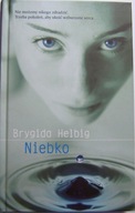 NIEBKO-Brygida Helbig 2013r.