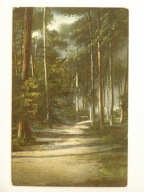 Rewal Rewahl promenada 1910 chromolitografia
