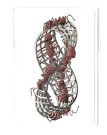 Karnet - M.C. Escher, Wstęga Mobiusa / mrówki ...