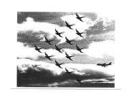 Pocztówka - Klucz jaskółek i Jumbo Jet / kolaż