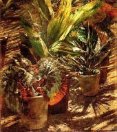 Aleksander Gierymski - Begonie