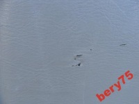 фото thumb №2, Nissan patrol y61 01r защита обивка дверь багаж