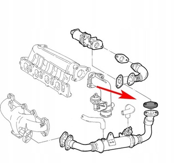 Пробка клапана EGR FIAT BRAVO STILO IDEA 1.9 JTD