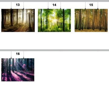 ПОСТЕР ЛЕСНЫЕ ДЕРЕВЬЯ СОЛНЦЕ 90х60 СМ 16 УЗОРОВ МАТОВЫЙ