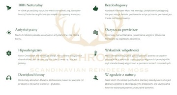 МОСС Reindeer Spring Green 5кг ПРЕМИУМ