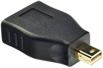 DisplayPort Mini DisplayPort Lindy Adapter