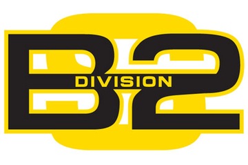 БОКСЕРСКИЕ ПЕРЧАТКИ DIVISION-B2 DIV-TG01, 14 унций.