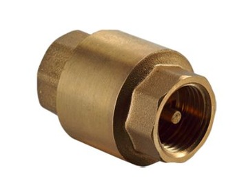 Check valve 6/ 4" whole dn40 brass holder mushroom з muffler reliable, фото