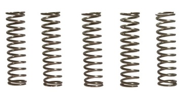 Springs grip kawasaki zx 900 zx-9r zx 1200 zx-2012 ninja year 01-06, фото