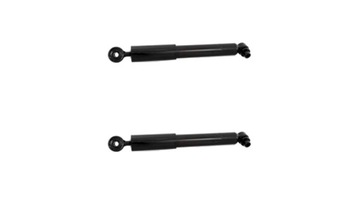 Shock absorbers ass renault scenic 4x4 rx4 set 2pcs, фото