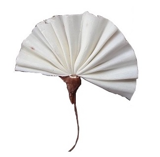 Shola sola fan wire szola dryer exotic, фото