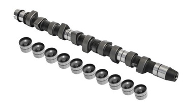 Camshaft vw t4 2.4 d 34, 9 mm aab set, фото