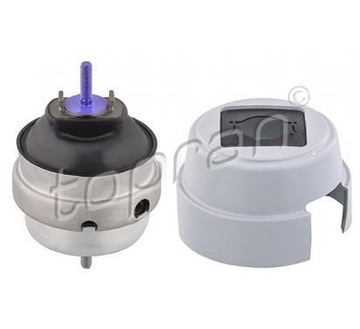 Topran 110 387 bearing motor, фото