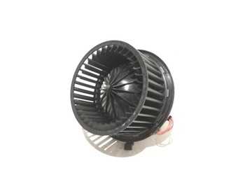 Fan parlor, фото