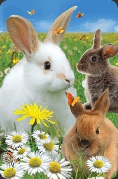 ВЫХОД - Мини 3D открытка. Кролик