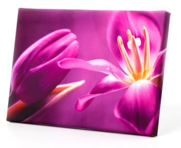 Изображение 180x100cm розы камни спа цветы розы