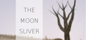 THE MOON SLIVER STEAM KEY KLUCZ KOD