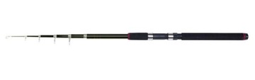 Rich Fishing Set Поплавок NOW ROD 3,00 м.