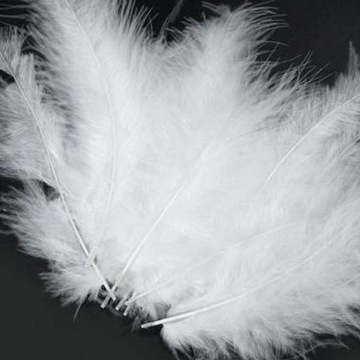 PIÓRKA prawdziwe duże białe ŚWIĘTA CHOINKA