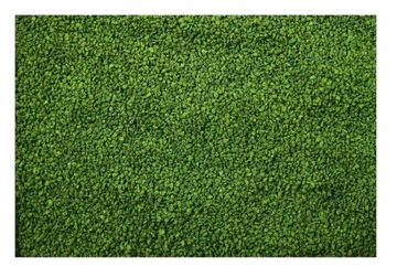 GLOPEX ALGEN MINI GRAN 100G GRANULAT ZE SPIRULINĄ