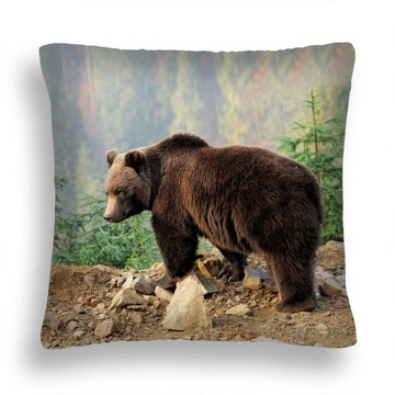 PODUSZKA ZW 18 NIEDŻWIEDŹ BRUNATNY GRIZZLY TATRY