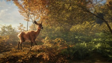 THEHUNTER HUNTER CALL OF THE WILD PL +4 DLC STEAM КЛЮЧ + БОНУС