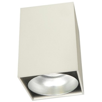 Lampa DOWNLIGHT / TUBA 14cm - BIAŁA - srebrna