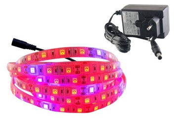 ZESTAW taśma LED 300 GROW IP65 wzrostu roślin 1.5m