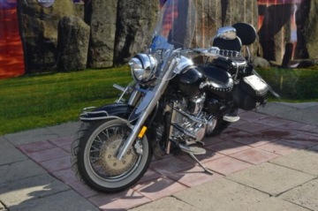 КОГТИ КОГТИ РЕБРА ROAD STAR 1700 WILD STAR 1600
