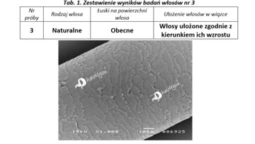 Лента TAPE ON Skin Weft НАТУРАЛЬНЫЕ ВОЛОСЫ 40см 45см