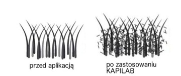 KAPILAB Микроволокна для утолщения волос *КЕРАТИН