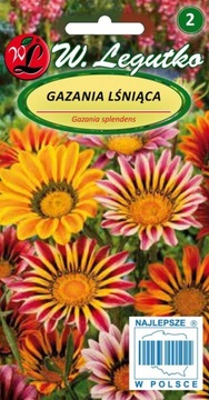 Gazania mieszanka mix 0,3g nasiona